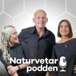Logo of the podcast Naturvetarpodden - gör dig lite klokare Podcast Naturvetarpodden - gör dig lite klokare