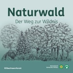 Logo of the podcast Naturwald - Der Weg zur Wildnis Podcast Naturwald - Der Weg zur Wildnis