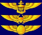 Logo of the podcast Naval Air Podcast Naval Air