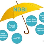 Logo of the podcast NDBI Podcast NDBI