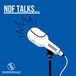 Podcast NDF Talks