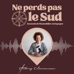 Logo of the podcast Ne perds pas le sud ! Boussole de l'immobilier en Espagne Podcast Ne perds pas le sud ! Boussole de l'immobilier en Espagne