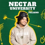 Logo of the podcast Nectar University Podcast Nectar University
