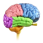 Logo of the podcast Nervous System- By Geetika Kukreja Podcast Nervous System- By Geetika Kukreja