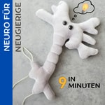 Logo of the podcast Neuro für Neugierige Podcast Neuro für Neugierige