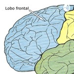 Logo of the podcast Neuro Podcast Neuro