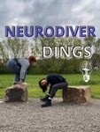 Logo of the podcast Neurodiverdings Podcast Neurodiverdings