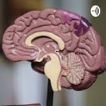 Logo of the podcast Neuropsicología y Educación Podcast Neuropsicología y Educación