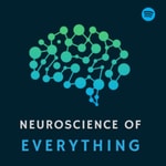 Logo of the podcast Neuroscience of Everything