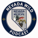 Logo of the podcast Nevada Wild Podcast Podcast Nevada Wild Podcast