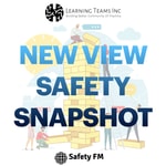 Logo of the podcast New View Safety Snapshot Podcast New View Safety Snapshot