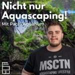 Nicht nur Aquascaping! 