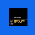 Logo of the podcast Niveau Supérieur Podcast Niveau Supérieur