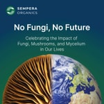 Logo of the podcast No Fungi, No Future: Celebrating the Impact of Fungi, Mushrooms, and Mycelium in our Lives Podcast No Fungi, No Future: Celebrating the Impact of Fungi, Mushrooms, and Mycelium in our Lives