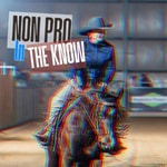 Logo of the podcast Non Pro In The Know Podcast Non Pro In The Know