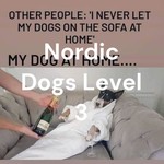 Logo of the podcast Nordic Dogs Level 3 Podcast Nordic Dogs Level 3