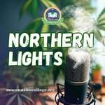 Northern Lights Northern Lights