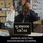 Logo of the podcast Norwood & Cross, P.I. — Comedy Mystery Audio Drama Podcast Norwood & Cross, P.I. — Comedy Mystery Audio Drama