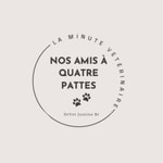 Logo of the podcast Nos amis à quatre pattes Podcast Nos amis à quatre pattes