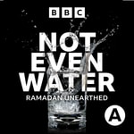 Logo of the podcast Not Even Water Podcast Not Even Water