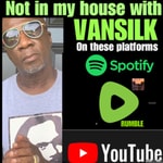Logo of the podcast Not in my house with VANSILK Podcast Not in my house with VANSILK
