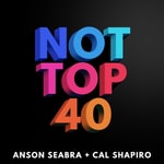 Logo of the podcast Not Top 40 Podcast Not Top 40