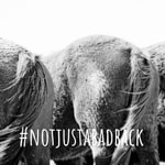 Logo of the podcast #notjustabadback Podcast #notjustabadback
