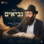 Logo of the podcast Novi with Rabbi Gavriel Levin Podcast Novi with Rabbi Gavriel Levin