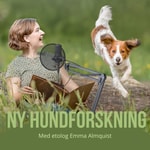 Podcast Ny hundforskning