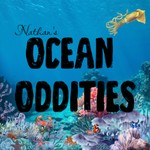 Logo of the podcast Ocean Oddities Podcast Ocean Oddities