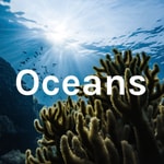 Logo of the podcast Oceans Podcast Oceans