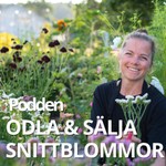 Logo of the podcast ODLA OCH SÄLJA SNITTBLOMMOR - PODDEN Podcast ODLA OCH SÄLJA SNITTBLOMMOR - PODDEN