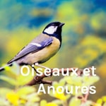 Logo of the podcast Oiseaux et Anoures Podcast Oiseaux et Anoures