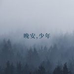Logo of the podcast 晚安,少年(入眠伴侣) Podcast 晚安,少年(入眠伴侣)