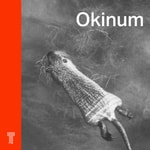 Okinum Podcast Okinum