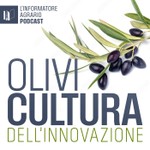 Logo of the podcast OliviCultura dell'innovazione Podcast OliviCultura dell'innovazione