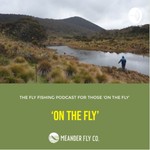 Logo of the podcast On The Fly Podcast On The Fly