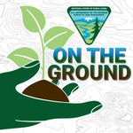 Logo of the podcast On the Ground Podcast On the Ground