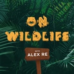 Logo of the podcast On Wildlife Logo of the podcast On Wildlife