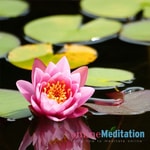 Logo of the podcast Online Meditation Course Podcast Online Meditation Course