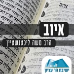 Logo of the podcast ספר איוב | הרב משה ליכטנשטיין Podcast ספר איוב | הרב משה ליכטנשטיין