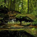 Logo of the podcast 冥想正念 | 享受一小时的静谧安然(Ambient Music Mixtape) Missing podcast logo