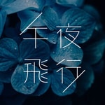 Podcast 午夜飞行 | 心选电子音乐