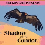 Logo of the podcast Oregon Wildcast Podcast Oregon Wildcast
