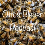Logo of the podcast Ottos Bienen Podcast Podcast Ottos Bienen Podcast