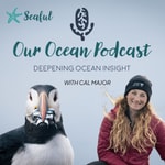 Our Ocean