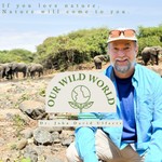 Podcast Our Wild World