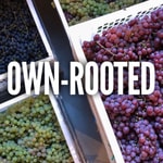 Logo of the podcast Own-Rooted Podcast Own-Rooted