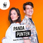 Logo of the podcast Pandapunten Podcast Pandapunten