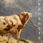 Logo of the podcast Pansmots, Une lettre de l'âme : Réflexions, Inspirations et méditations philosophiques Podcast Pansmots, Une lettre de l'âme : Réflexions, Inspirations et méditations philosophiques